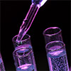 The Missing Middle: Pre-Commercial Life Science Companies and the Incentives Gap Impacting Future Clusters